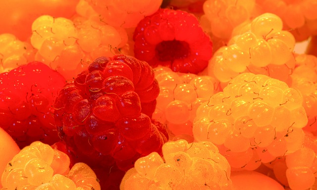 引进莱昂纳 引进莱昂纳